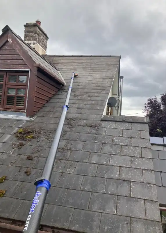 roof-cleaning-process-in-Toronto