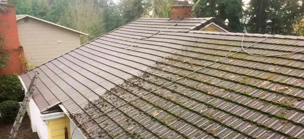 Roof Cleaning