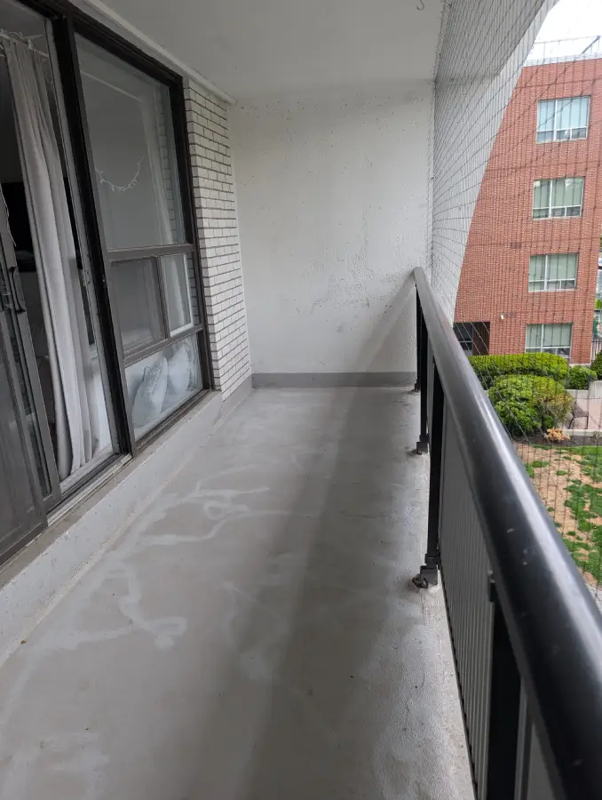 Professional-pigeon-droppings-removal-Annex