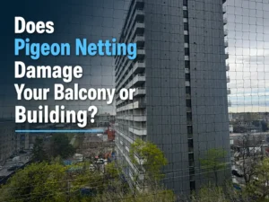 Does Pigeon Netting Damage Your Balcony or Building in Toronto?