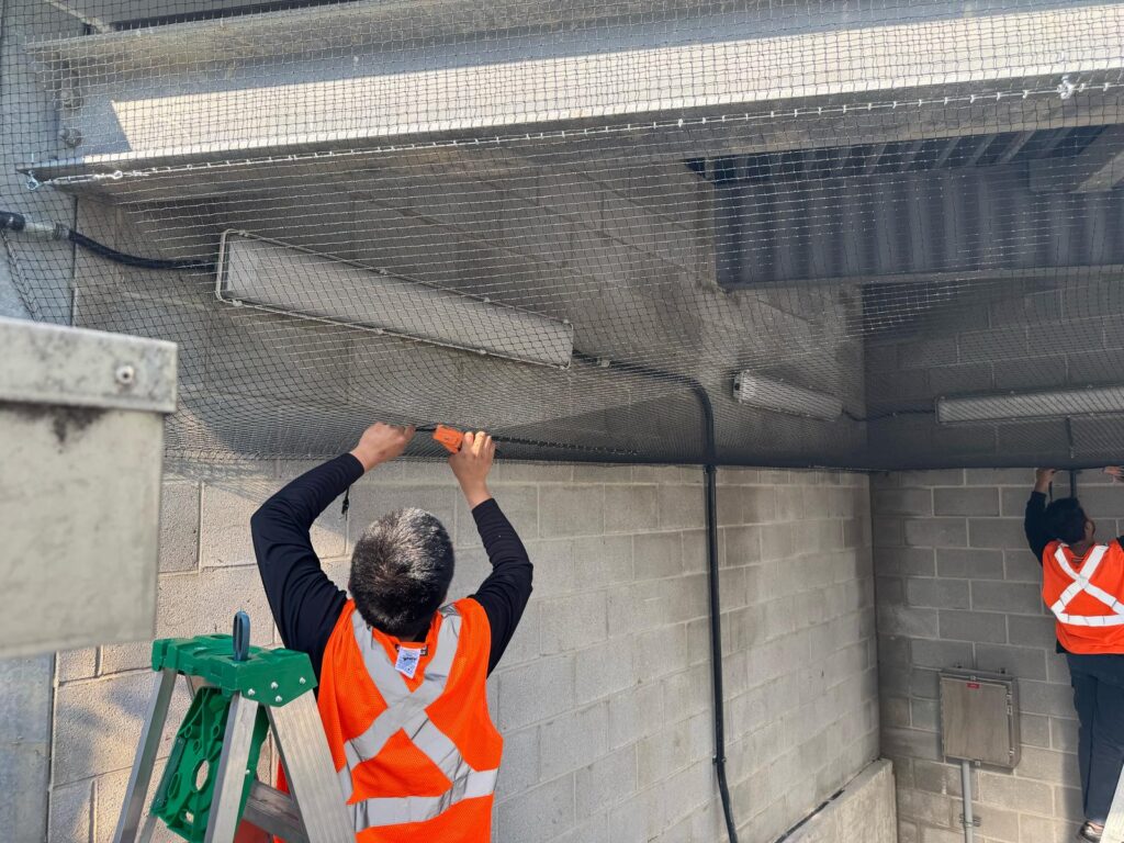 Pigeon deterrent system mass transit station