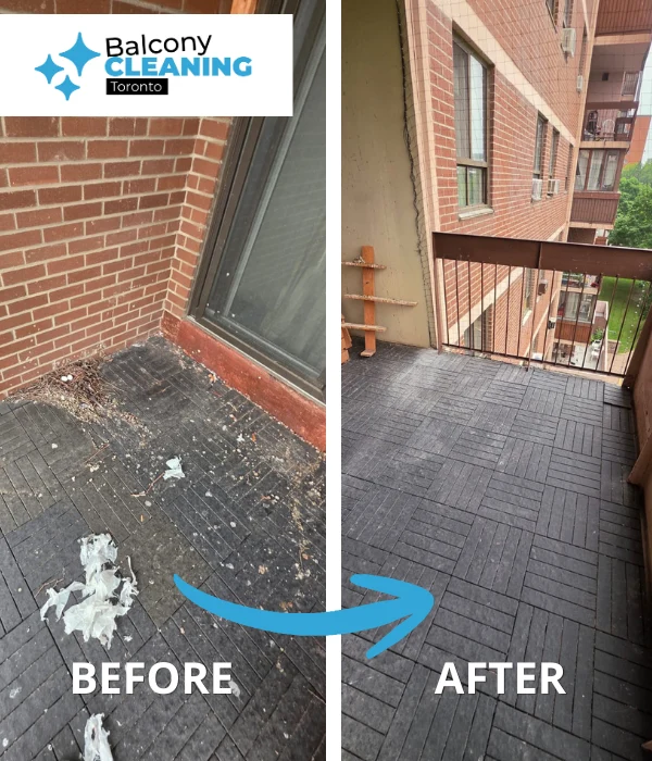Pigeon Balcony Cleaning in Toronto